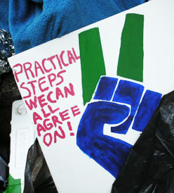 'Practical Steps' Sign at Occupy Wall Street, New York City, photo by Rick Theis